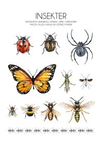 Insekter poster