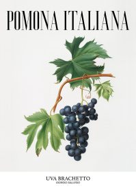 Vindruvor Poster