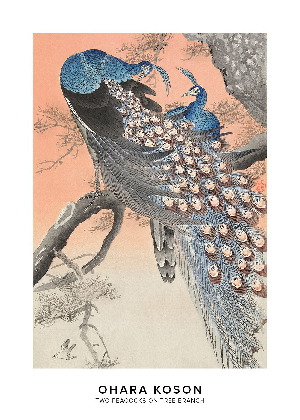 Two peacocks on tree branch Ohara Koson Poster